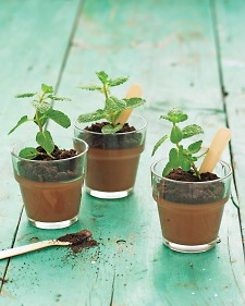 planted dessert Plant some dessert :)