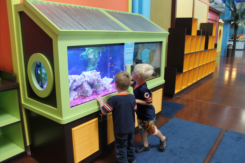 First Swim Lessons At Goldfish Swim School Making Time for Mommy