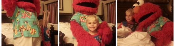 jamaica elmo jamaica elmo