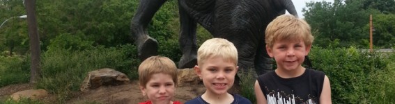 stlzoo9 stlzoo9