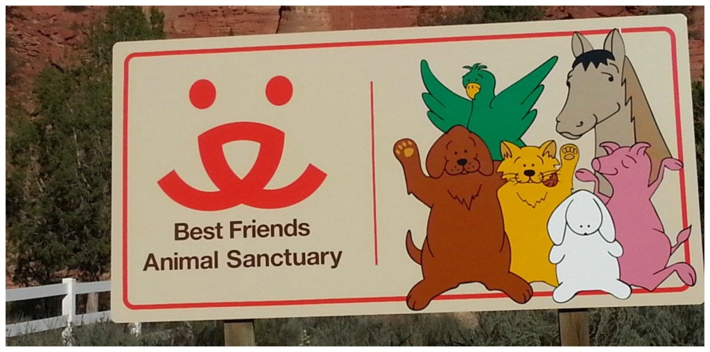 best friends best friends
