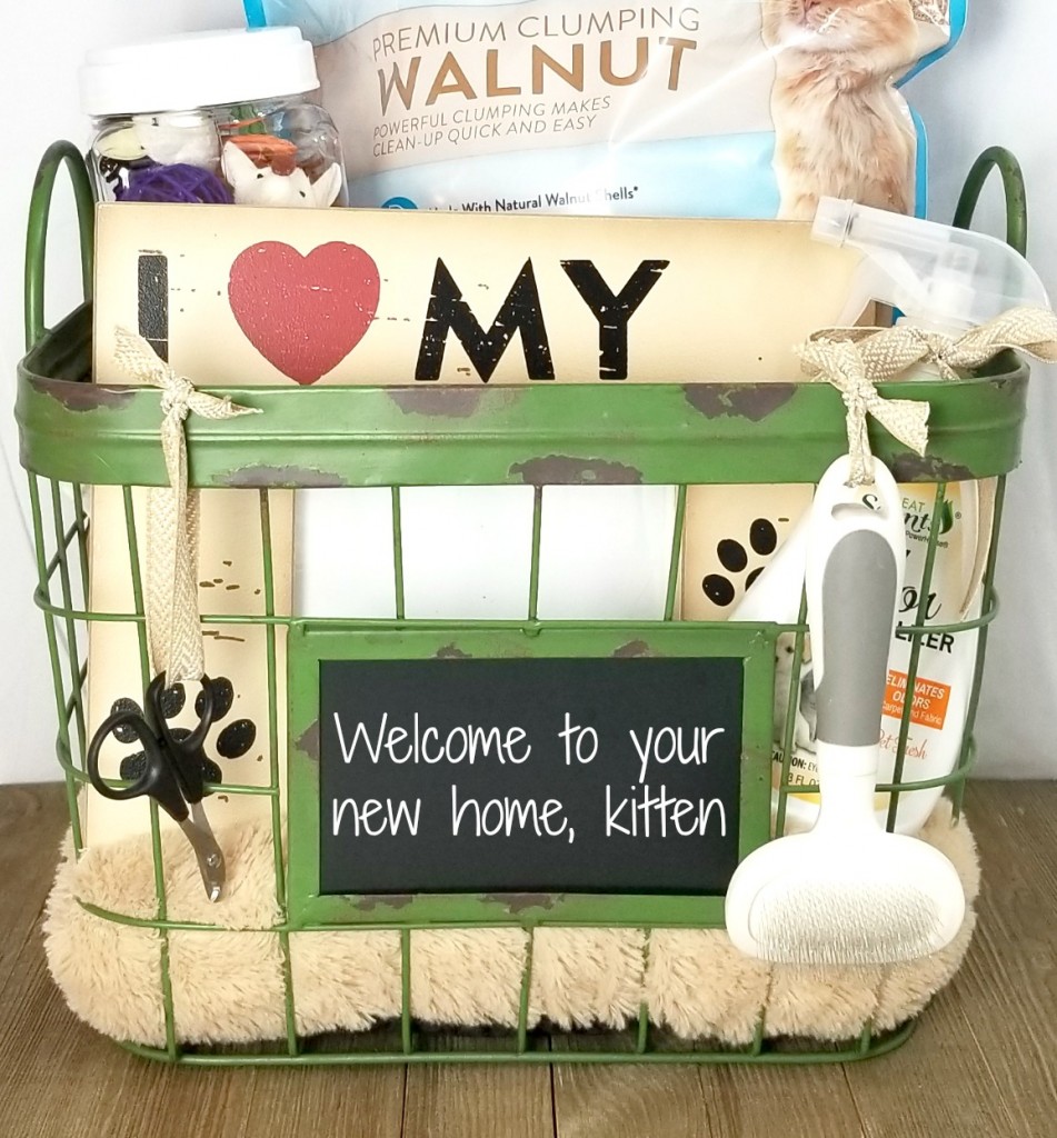 New Kitten Gift Basket Making Time for Mommy